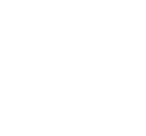 AM Multiservizi