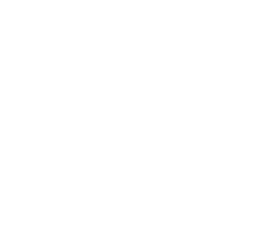 AM Multiservizi